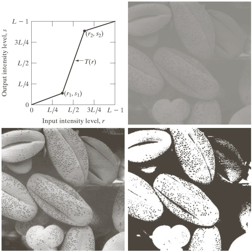 coffee beans with different transformations applied