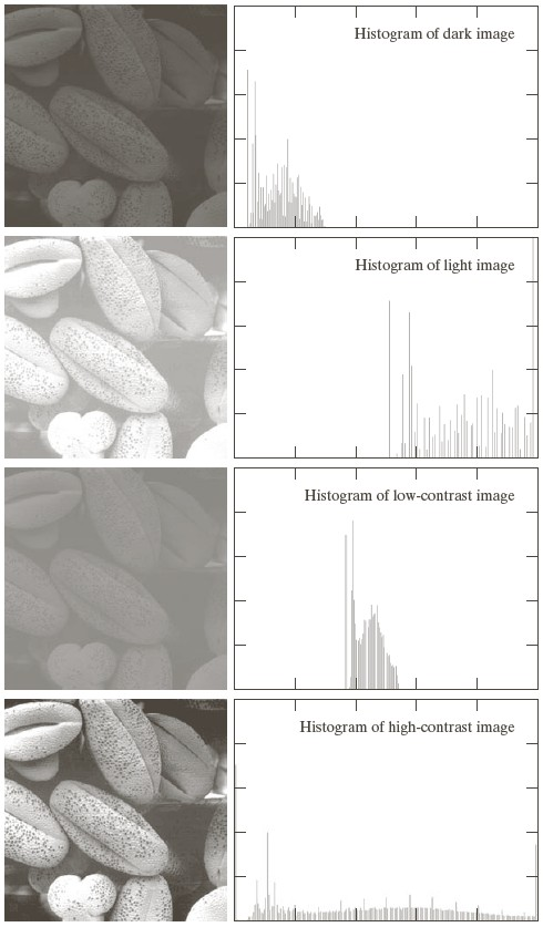 four images and their histograms