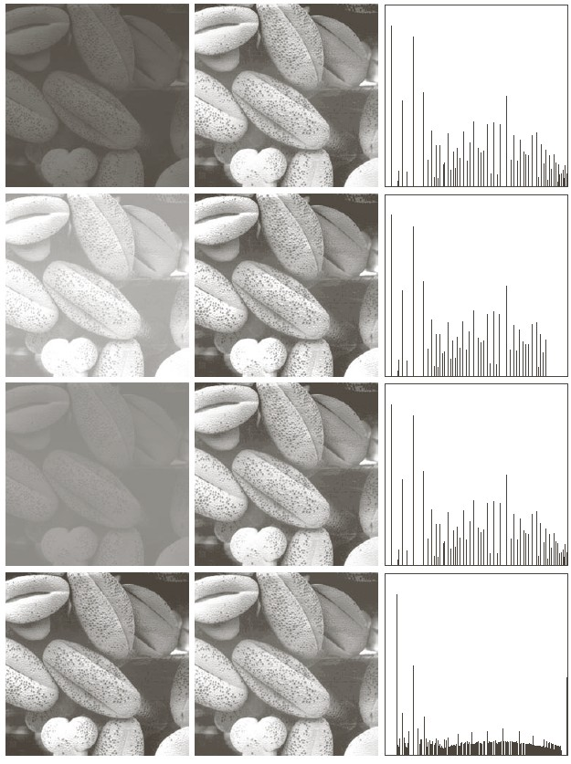 images with histogram equalization applied