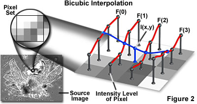 bicubic internpolation surface above 16 pixel centres