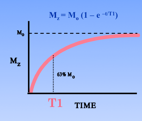 graph of T1 exponential