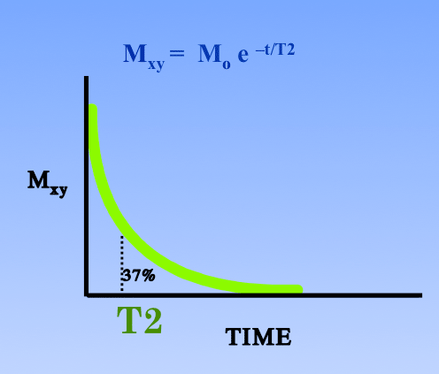 graph of T2 exponential