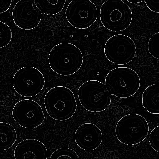 image of cells with non-maxima suppressed